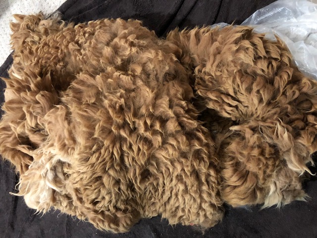 Brown alpaca fleece blanket